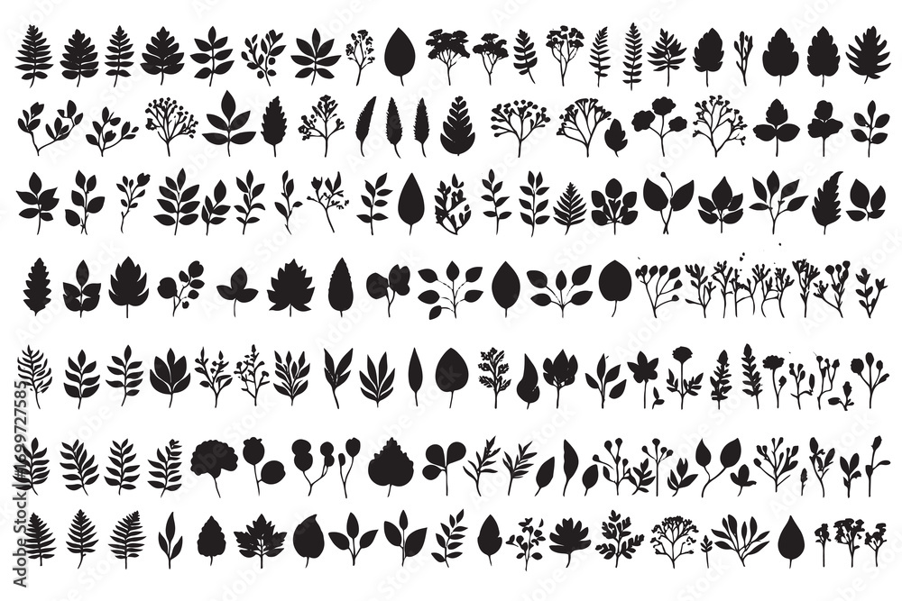 Fototapeta premium Collection of black botanical silhouettes on white background