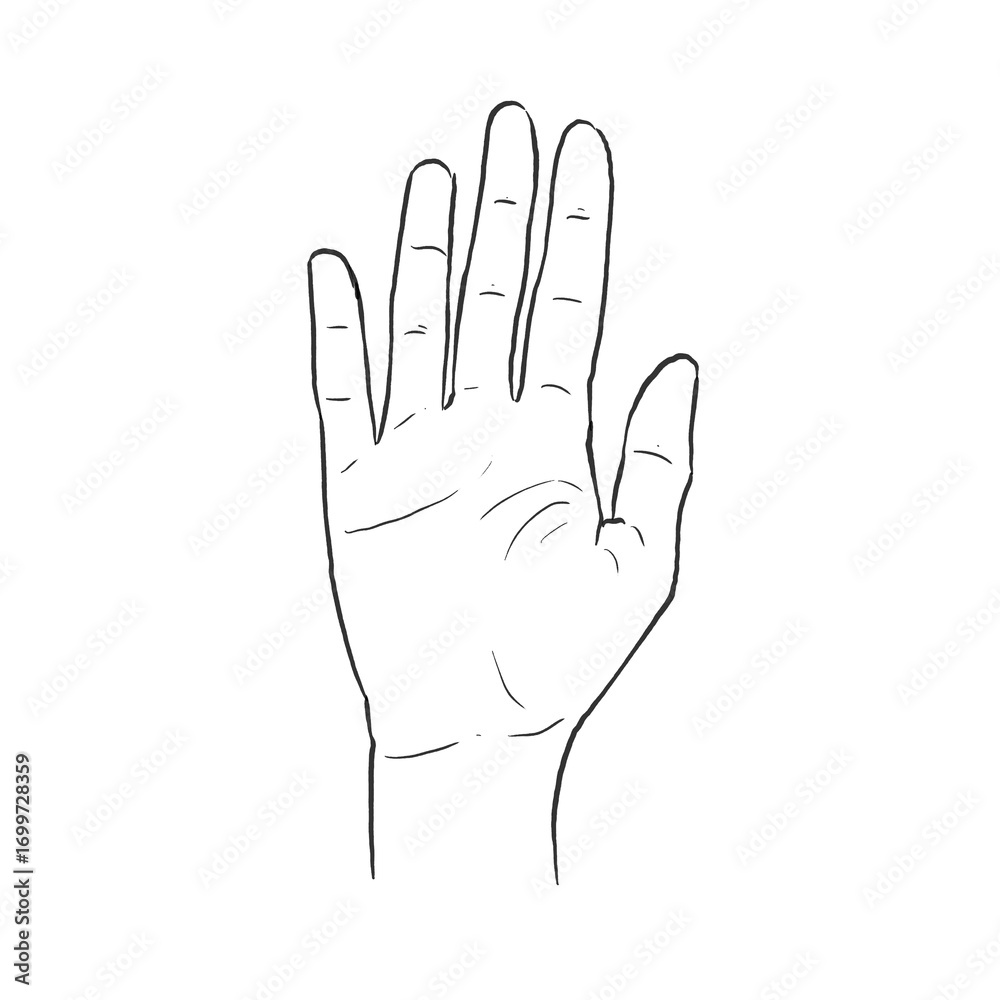 Obraz premium Female Hand Pose Line Drawing