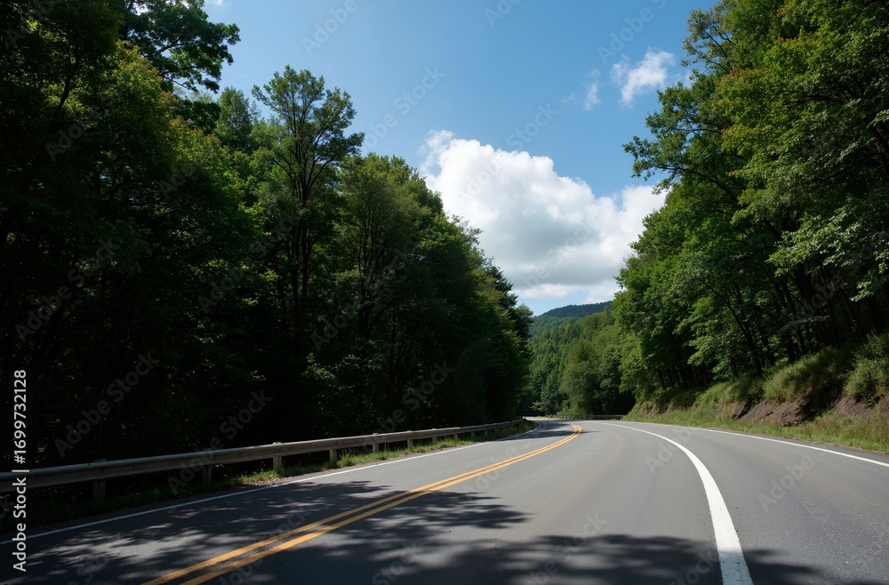 Fototapeta premium road in the mountains