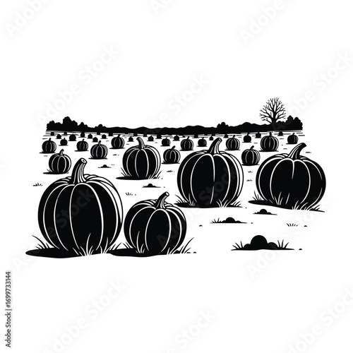 A black and white graphic illustration of a pumpkin patch field during the autumn harvest season.