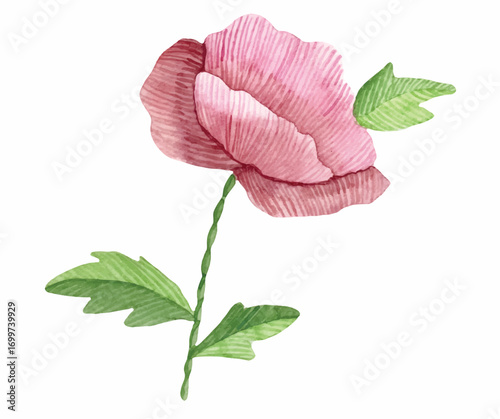 Watercolor illustration of a delicate pink flower with green leaves, isolated on white.