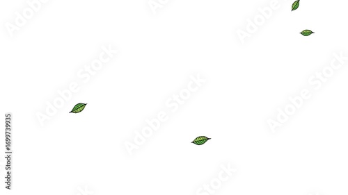 video animation of plants and falling leaves