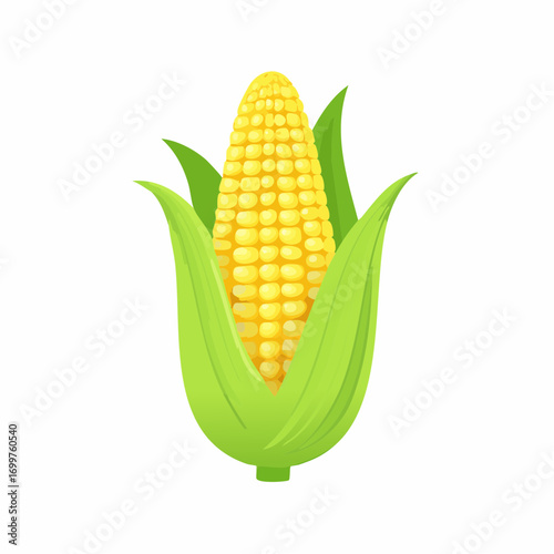 An illustration of corn on a white. Golden maize corn cob isolated. Corn in the peel