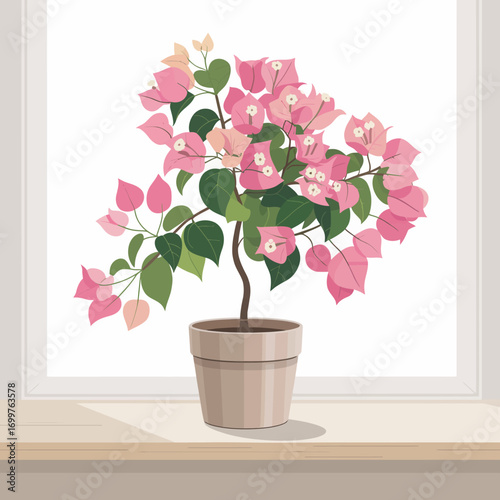 The image showcases a stunning Bougainvillea plant blooming with vibrant pink flowers, elegantly placed in a simple pot, adding a touch of natural beauty to any indoor space or scene.