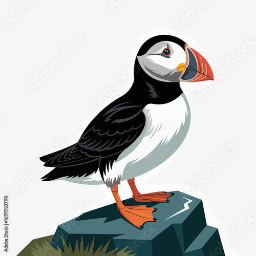This illustration features a charming puffin standing proudly on a rocky outcrop, with its distinct colorful beak and striking appearance, embodying the beauty of coastal wildlife and nature.