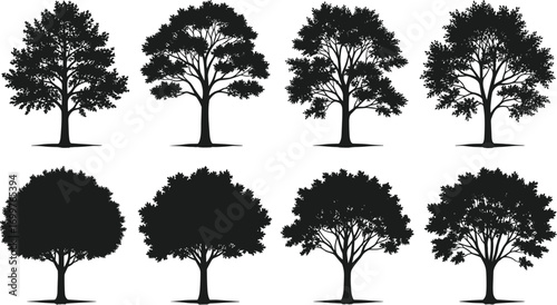 Silhouette tree collection with diverse foliage shapes, botanical variety, landscape design elements, nature icons, black vector trees for illustration