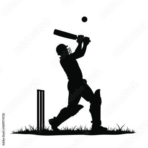 Cricket batsman silhouette hitting ball with bat on white background