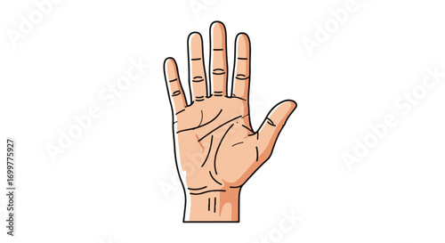 Detailed illustration of a hand with palm lines, revealing the art of palmistry and prediction of the future, isolated on a clean white background