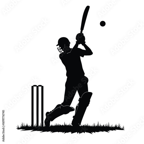 Cricket batsman silhouette striking the ball with bat and wickets Keywords: cricket, batsman