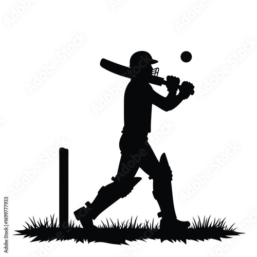 Cricket batsman silhouette swinging bat at ball on white background