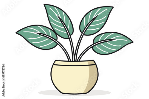 Potted Plant with Large Green Leaves in a Cream Colored Pot houseplant indoor plant
