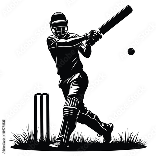 Cricket player hitting ball with bat on grass Keywords: cricket, player, batsman, silhouette