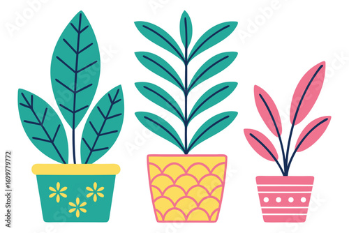 Three Potted Houseplants With Colorful Geometric Designs potted plant green leaves