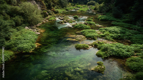 Crystal-clear river flowing through lush, green vegetation. This photograph captures the serenity of a pristine river winding through a verdant landscape, ideal for environmental conservation.