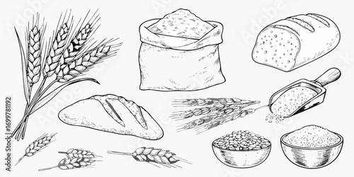 Hand drawn wheat grains flour bread and baked goods collection in sketch style