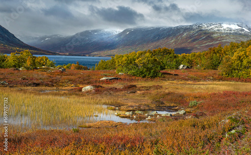 view on red foliage of plants growing at the water's edge in a fjord with sno...