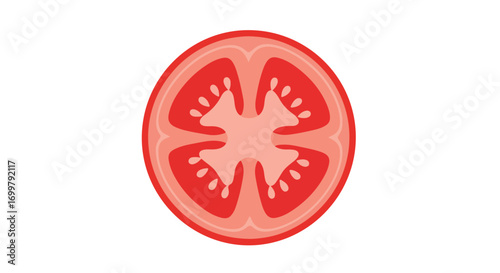 Simplified tomato cross-section illustration with vivid red hues on a clean white canvas conveying freshness and culinary charm