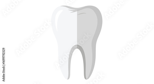 Illustrative dental molar with pristine enamel, perfect for educational or healthcare related materials on oral hygiene and dental health promotion