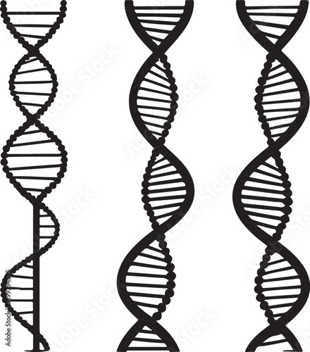 dna strand on white background