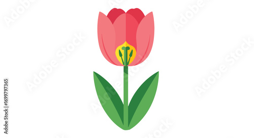 Single vibrant tulip illustration, embodying springtime freshness, with a modern, clean aesthetic, perfect for seasonal designs and uplifting visuals