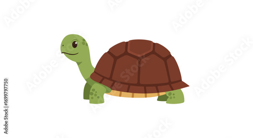 Adorable cartoon turtle illustration with brown shell and green body, isolated against a white background perfect for educational and fun design 75