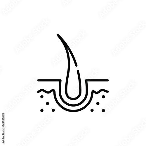 Hair follicle icon. Simple outline style. Dermatology, nourish, science, spa, medical, beauty, medicine, skin, growth, health element concept. Thin line symbol. Isolated design.