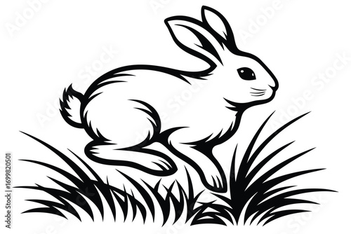 Rabbit Leaping in Grass, on White Background, Cartoon Outline