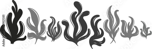 Set of monochrome seaweed and algae illustrations.