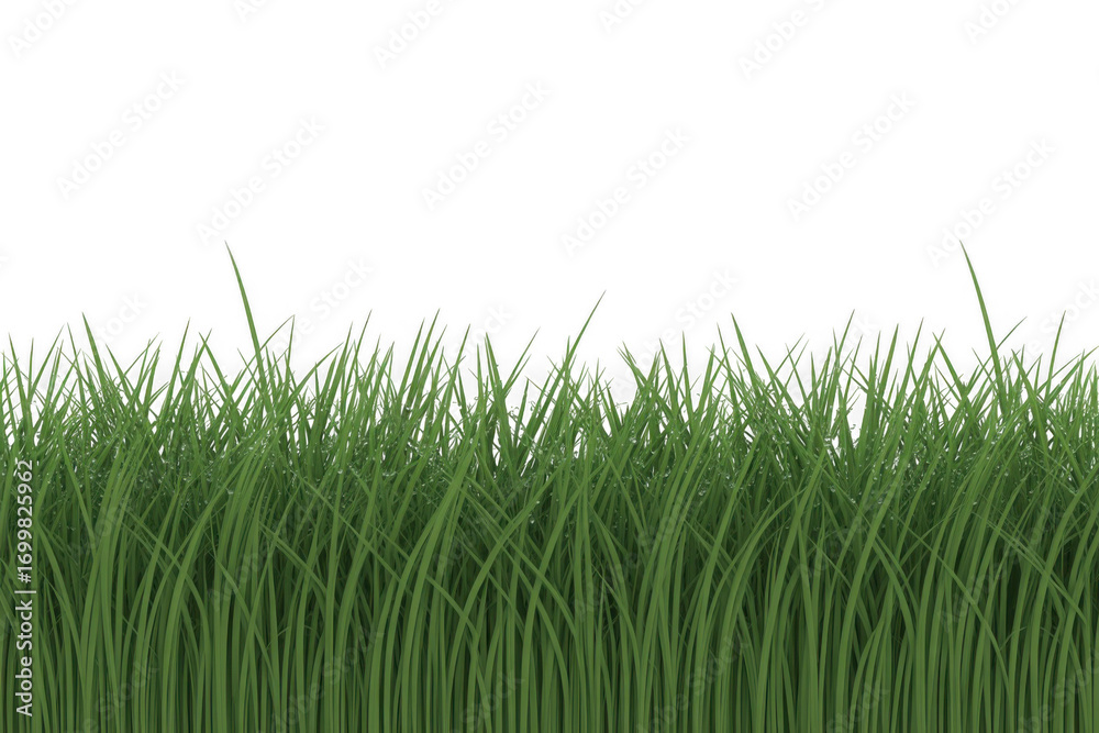 Fototapeta premium Collection of seamless horizontal green grass borders 3d rendered isolated on PNG