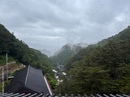 Danyang: Where Mountains Meet the River
단양: 산과 강이 만나는 곳