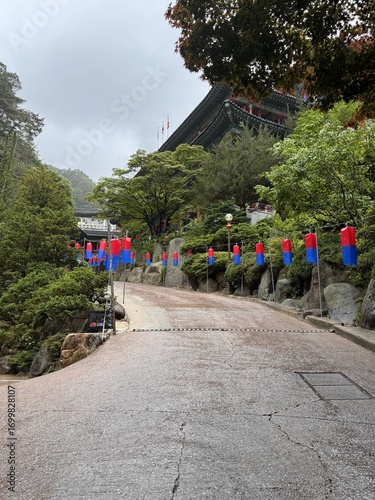 Danyang: Where Mountains Meet the River
단양: 산과 강이 만나는 곳