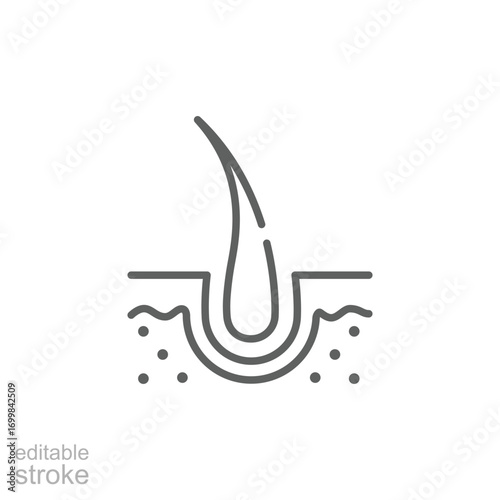 Hair follicle icon. Simple outline style. Dermatology, nourish, science, spa, medical, beauty, medicine, skin, growth, health element concept. Thin line symbol. Isolated design editable stroke.