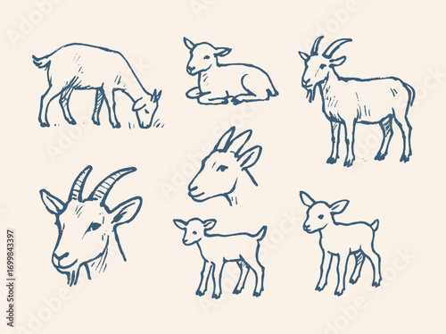  Goat sketches farm animals thick line ink drawing vector illustration