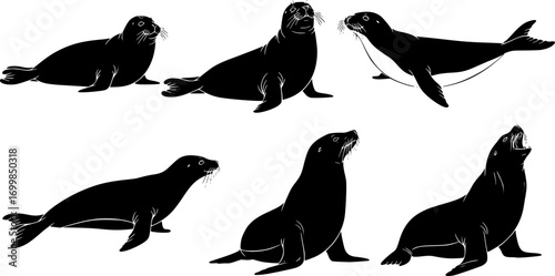 Seal silhouette collection, Seal SVG, Sea lion silhouettes, Seal clipart.