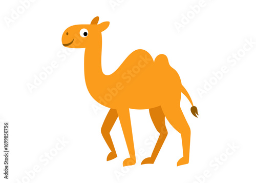Cartoon camel illustration. Cute desert animal vector for travel, safari, zoo, wildlife, adventure, Middle East culture, exotic animals, education, kids projects, and tourism design.