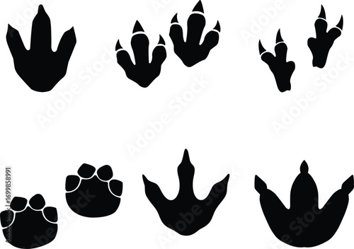 Dinosaur footprints clipart isolated on transparent background