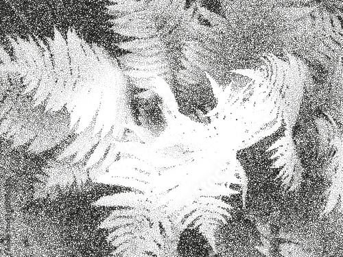 Halftone fern leaves background. Abstract stipple foliage texture with tropical jungle plant pattern in black and white. Vector illustration.