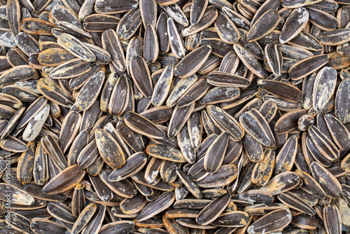 Salted sunflower seeds on a...