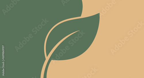 Single green leaf on a two-tone background symbolizing nature and growth.