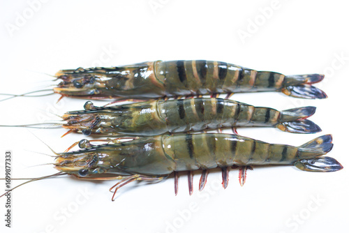 3 Black Tiger Prawns Arranged on a White Background