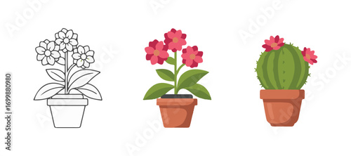 Display floral plants and flowering cacti in pots, featuring line, flat, and glyph icon styles on a white background. Vector illustration