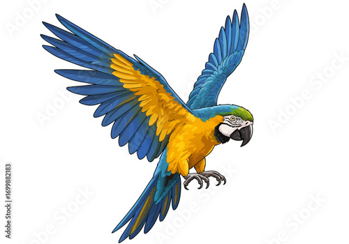 Colorful Blue and Gold Macaw Parrot in Flight Illustration.