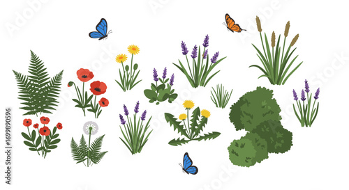 Nature elements collection: wildflowers, foliage, and butterflies for design projects