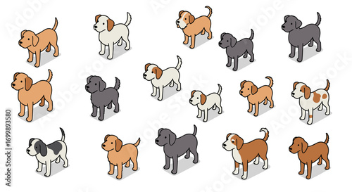 Isometric dogs: diverse breeds in various colors and patterns