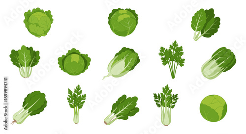 Fresh green vegetables collection: lettuce, spinach, celery, and more in flat design