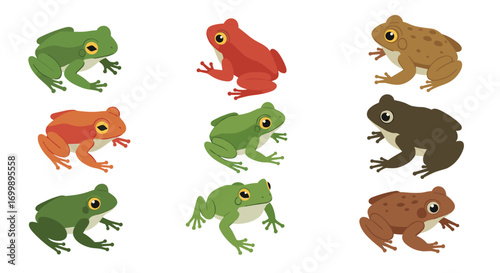 Colorful frogs collection: diverse cartoon amphibians in various hues