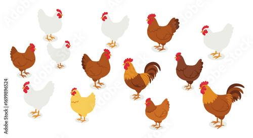 Isometric rooster and hen collection: colorful chickens on clean background