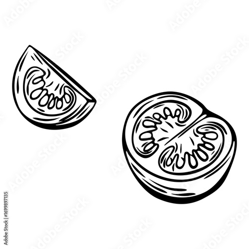 Tomato engraving sketch for Mediterranean food and coloring