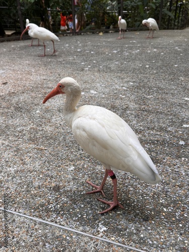 Singapore Nights: Gardens, Skylines, and City Lights
싱가포르의 밤: 정원, 스카이라인, 그리고 도시의 빛