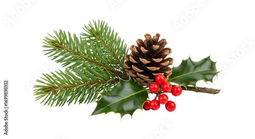 Festive christmas arrangement of pine cones holly and berries Isolated on transparent background